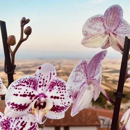 Gasthof Relais San Marco Luxury